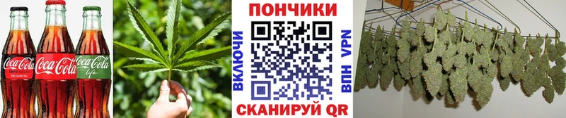 Еда ТГК марихуана мега зеркало Канаш