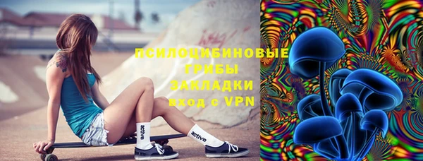 дмт Аркадак