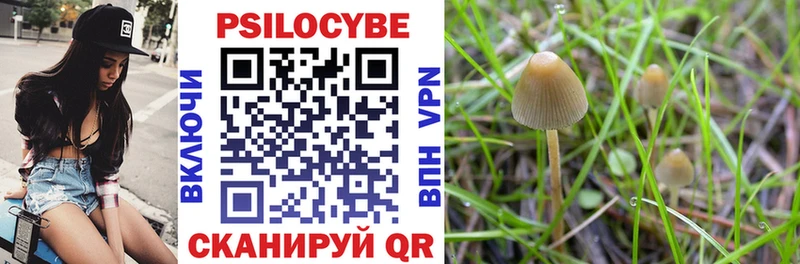 Галлюциногенные грибы Psilocybe  маркетплейс наркотические препараты  Канаш 