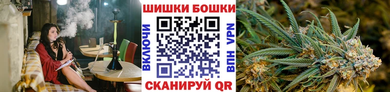 Марихуана сатива  купить наркотик  Канаш 